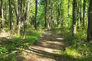 1770 Sunny Acres Ln, Ohio Township, OH 45102 - Photo 50