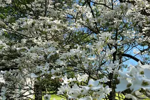 7628 Lesourdsville West Chester Rd, West Chester, OH 45069 - Photo 64