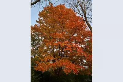 7628 Lesourdsville West Chester Road, West Chester, OH 45069 - Photo 66