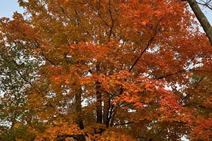 7628 Lesourdsville West Chester Rd, West Chester, OH 45069 - Photo 66