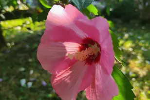 213 N Charity St, Bethel, OH 45106 - Photo 50