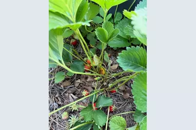 5709 Ridge Avenue, Cincinnati, OH 45213 - Photo 32