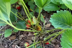 5709 Ridge Ave, Cincinnati, OH 45213 - Photo 32