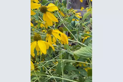 5709 Ridge Avenue, Cincinnati, OH 45213 - Photo 34