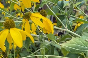 5709 Ridge Ave, Cincinnati, OH 45213 - Photo 34