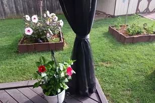 2344 Horning Dr, Fairfield, OH 45014 - Photo 28