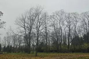 5275 Grande Rd, New Market Township, OH 45133 - Photo 2