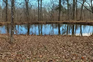 1202 Yankeetown Rd, Clark Township, OH 45130 - Photo 2