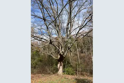 0 Harriett Road, Marshall Township, OH 45133 - Photo 18