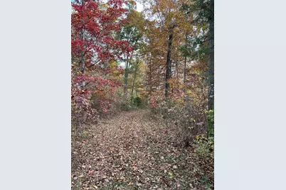 0 Harriett Road, Marshall Township, OH 45133 - Photo 20