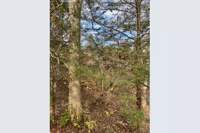 0 Harriett Road, Marshall Township, OH 45133 - Photo 44