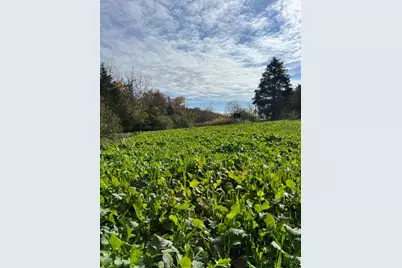 0 Harriett Road, Marshall Township, OH 45133 - Photo 34