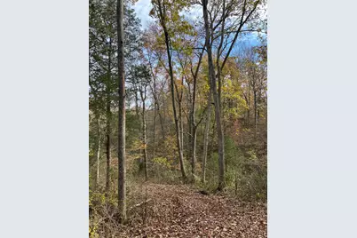 0 Harriett Road, Marshall Township, OH 45133 - Photo 46