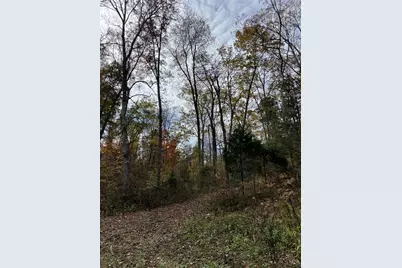 0 Harriett Road, Marshall Township, OH 45133 - Photo 42