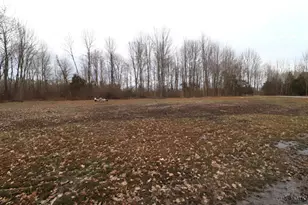 970 Macedonia Rd, Washington Twp, OH 45107 - Photo 94