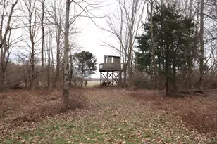 970 Macedonia Rd, Washington Twp, OH 45107 - Photo 90