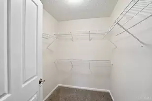 3431 Twenty Mile Way, Deerfield Township, OH 45140 - Photo 30