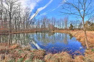 1416 Fay Rd, Goshen, OH 45140 - Photo 12