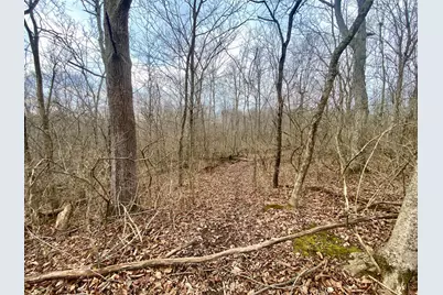 56 Sabina Road, Leesburg, OH 45135 - Photo 18