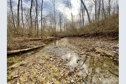 56 Sabina Road, Leesburg, OH 45135 - Photo 14