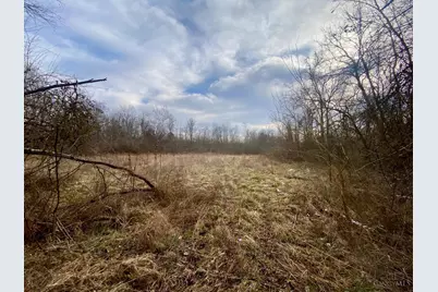 56 Sabina Road, Leesburg, OH 45135 - Photo 16