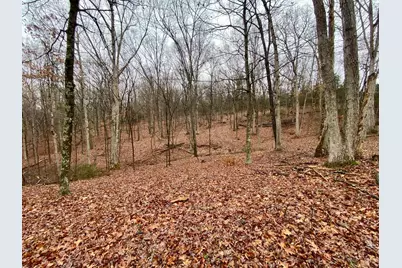 435 Rolling Woods Drive, West Union, OH 45693 - Photo 6