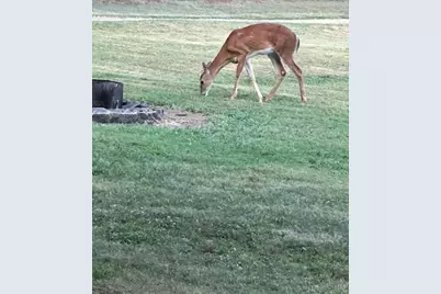 2673 St Rt 132, Ohio Township, OH 45157 - Photo 32