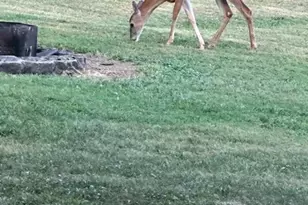 2673 St Rt 132, Ohio Township, OH 45157 - Photo 32