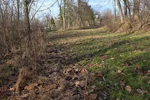 0 Fagins Run Rd, New Richmond, OH 45157 - Photo 16