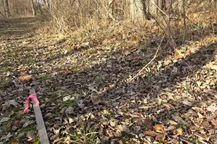 0 Fagins Run Rd, Pierce Township, OH 45157 - Photo 14