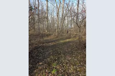 0 Fagins Run Road, Pierce Township, OH 45157 - Photo 6