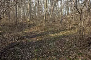 0 Fagins Run Rd, Pierce Township, OH 45157 - Photo 6