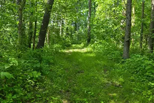 0 Fagins Run Rd, Pierce Township, OH 45157 - Photo 18