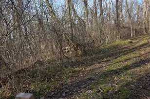 0 Fagins Run Rd, New Richmond, OH 45157 - Photo 12