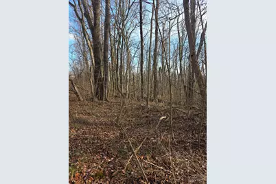 0 Fagins Run Road, Pierce Township, OH 45157 - Photo 8