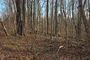 0 Fagins Run Rd, Pierce Township, OH 45157 - Photo 8