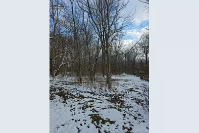 0 Fagins Run Road, Pierce Township, OH 45157 - Photo 18