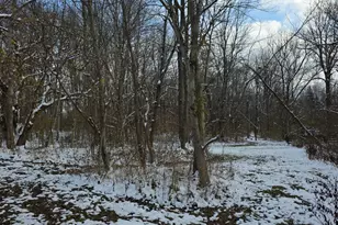 0 Fagins Run Rd, New Richmond, OH 45157 - Photo 18