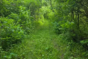 0 Fagins Run Rd, Pierce Township, OH 45157 - Photo 14