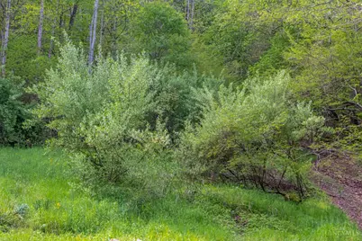 2432 Johnsons Run Road, Blue Creek, OH 45616 - Photo 10