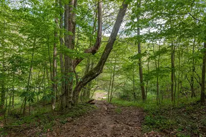 2432 Johnsons Run Road, Blue Creek, OH 45616 - Photo 1