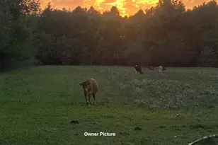 4957 Utica Rd, Clearcreek Twp., OH 45068 - Photo 64