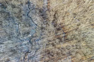 8721 Brannen Rd, Hillsboro, OH 45133 - Photo 54