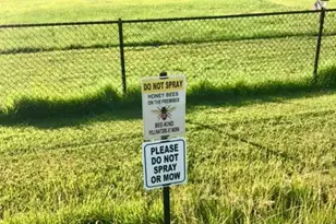 1954 Main St, Goshen, OH 45122 - Photo 28