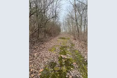 3 Grants Run Road, Williamsburg Township, OH 45153 - Photo 4