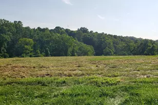 0 Stone Mill Rd, Colerain Township, OH 45251 - Photo 6