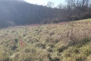 0 Stone Mill Rd, Colerain Township, OH 45251 - Photo 2