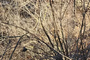 704 Dover Ave, Middletown, OH 45044 - Photo 6