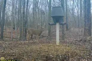 630 Dawn Ln, Peebles, OH 45660 - Photo 36