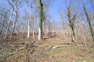 3688 US Rt 52, Manchester, OH 45144 - Photo 20